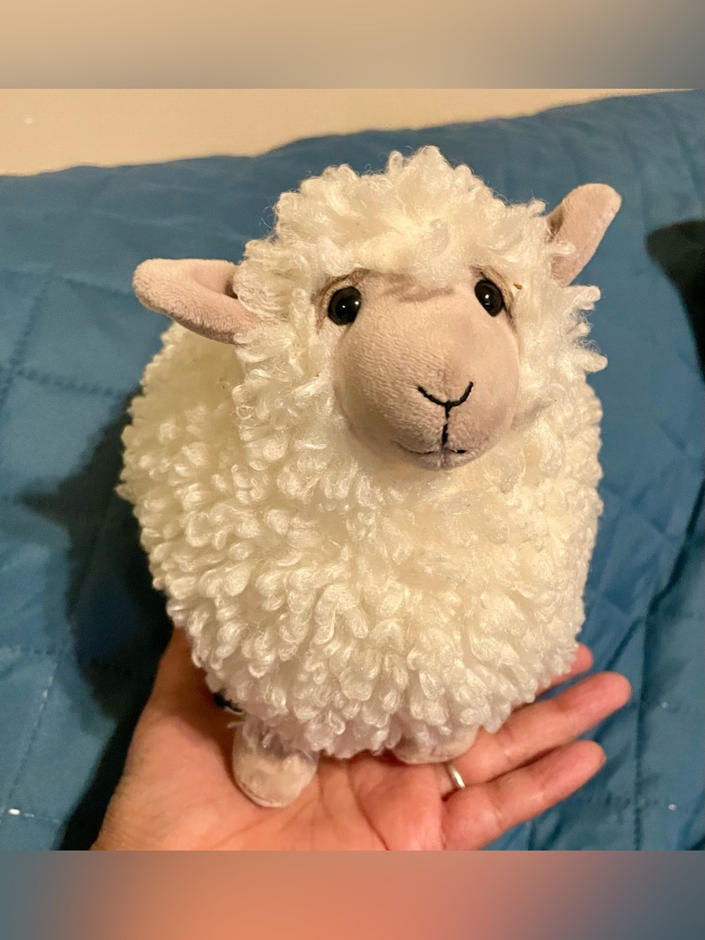 Jellycat Cream Rolbie Sheep Plush